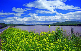 飲用凈水器的水究竟是否會(huì)導(dǎo)致?tīng)I(yíng)養(yǎng)缺乏？